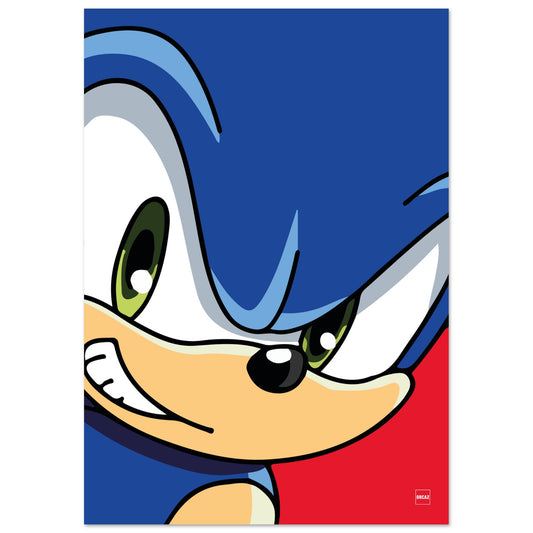 Aperçu de l'affiche du personnage Sonic par Orcaz Designs.
