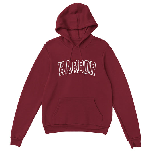 Aperçu du Hoodie rouge porté par Marissa Cooper dans la série Newport Beach (The OC)