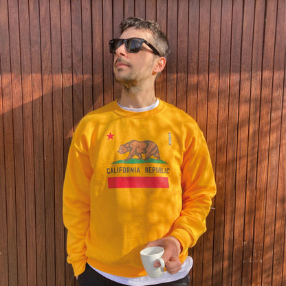 Photo d'un garçon portant un pull jaune foncé avec le drapeau de la Californie