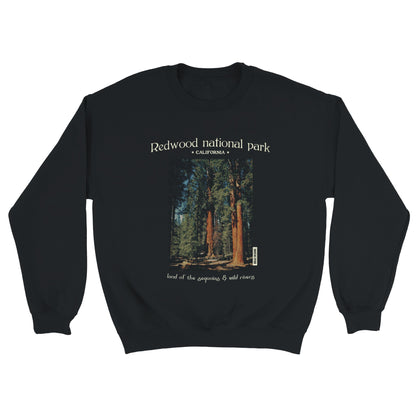 Notre sweat noir confortable et tout doux pour passer l'automne et l'hiver bien au chaud dans un sweatshirt inspiré du Redwood national park en Californie, terre des séquoias et nombreuses rivières sauvages, imprimé d'une magnifique photo de ces arbres centenaires aux accents vintage rétro