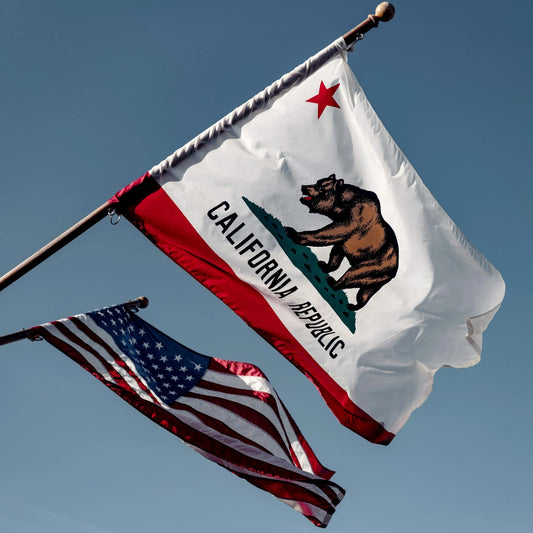 Photographie avec le drapeau des USA et de la Californie.