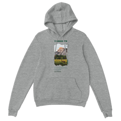 Hoodie gris "Yosemite"